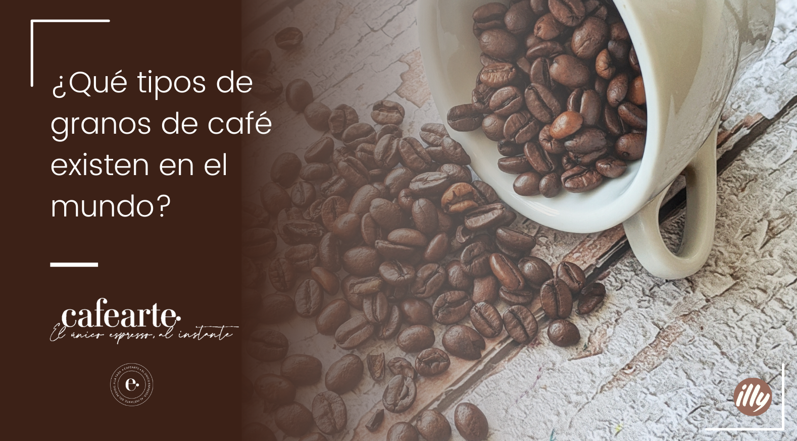 tipos de granos de cafe que existen en el mundo